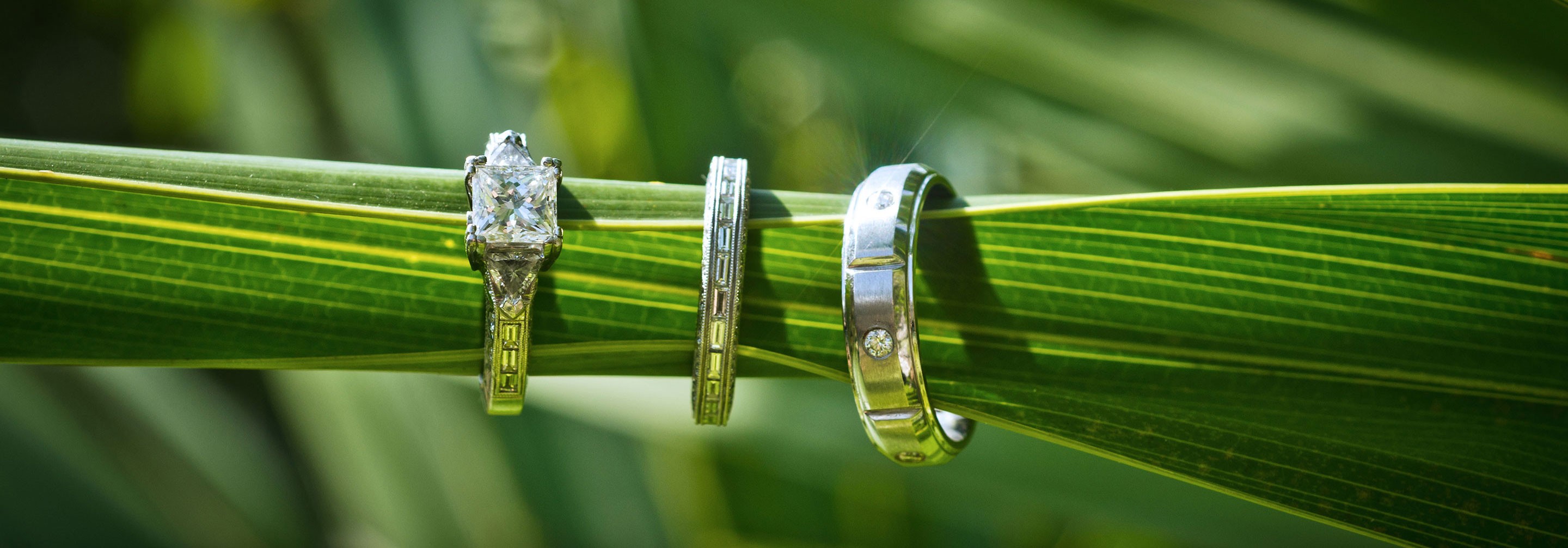 Wedding Rings Cancun Riviera Maya Mexico